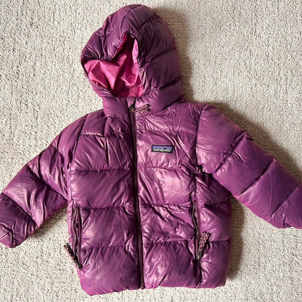 Patagonia Hi-Loft Down Sweater Hoody (size 3T)